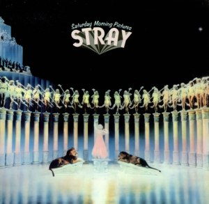 StraySaturday